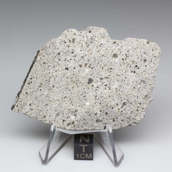 NWA 2060 Howardite Meteorite 21.5g