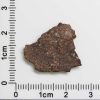 NWA 4871 Meteorite 1.6g