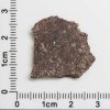 NWA 4871 Meteorite 2.0g