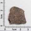 NWA 4871 Meteorite 2.2g