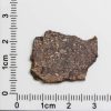 NWA 4871 Meteorite 1.6g