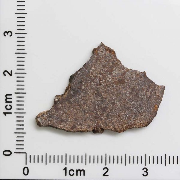 NWA 4871 Meteorite 2.1g