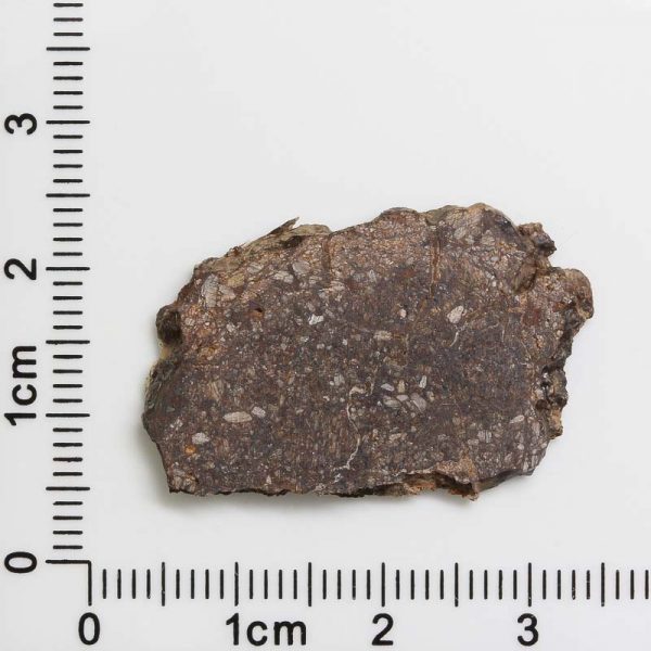 NWA 4871 Meteorite 2.4g
