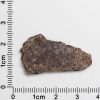 NWA 4871 Meteorite 1.9g