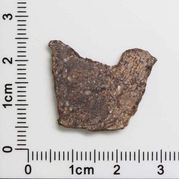 NWA 4871 Meteorite 1.2g
