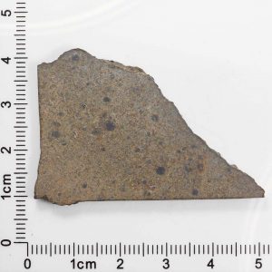 NWA 5515 Meteorite 12.0g