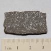 NWA 725 (Tissemoumine) Meteorite 3.9g