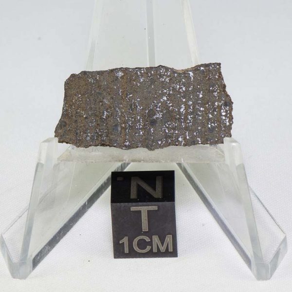 NWA 725 (Tissemoumine) Meteorite 0.7g