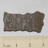 NWA 725 (Tissemoumine) Meteorite 1.2g