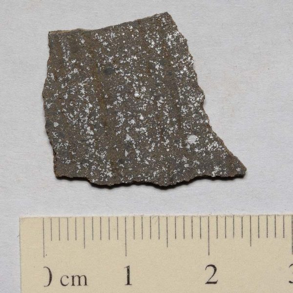 NWA 725 (Tissemoumine) Meteorite 1.1g