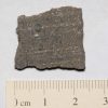 NWA 725 (Tissemoumine) Meteorite 2.3g