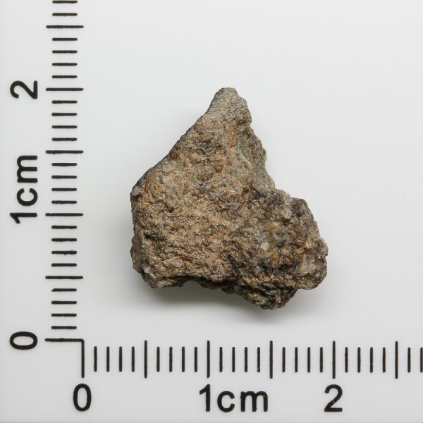 Mars Shergottite Meteorite 2.42g