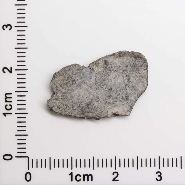 Mars Shergottite Meteorite 1.83g