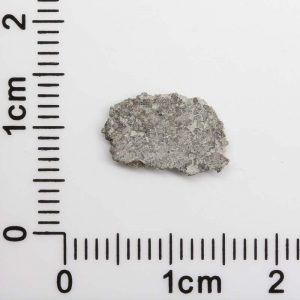 Mars Shergottite Meteorite 0.32g