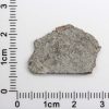 Mars Shergottite Meteorite 2.06g