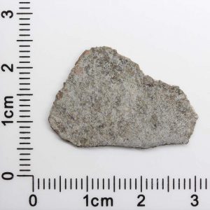 Mars Shergottite Meteorite 1.76g