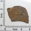 NWA 7489 Meteorite 2.1g