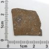 NWA 7489 Meteorite 2.2g