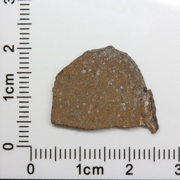 NWA 7489 Meteorite 1.4g