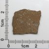 NWA 7489 Meteorite 1.7g