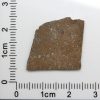 NWA 7489 Meteorite 1.8g
