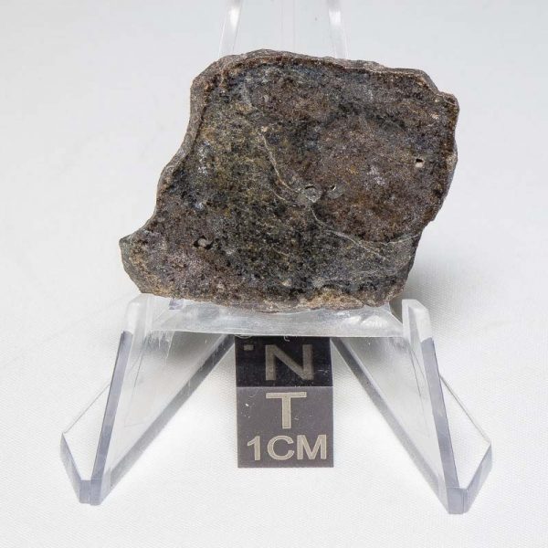 NWA 7499 Brachinite Meteorite 4.55g