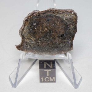 NWA 7499 Brachinite Meteorite 5.74g