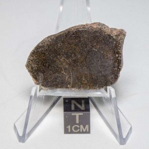 NWA 7499 Brachinite Meteorite 5.1g