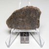 NWA 7499 Brachinite Meteorite 6.12g