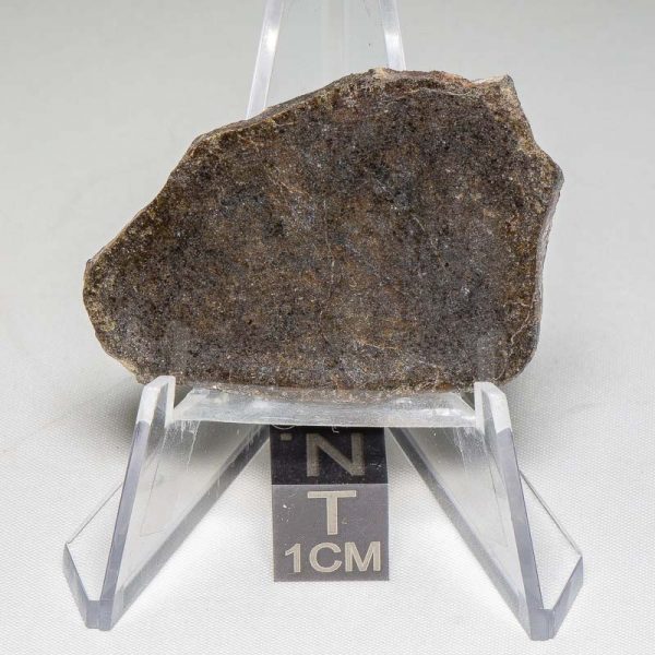 NWA 7499 Brachinite Meteorite 6.25g