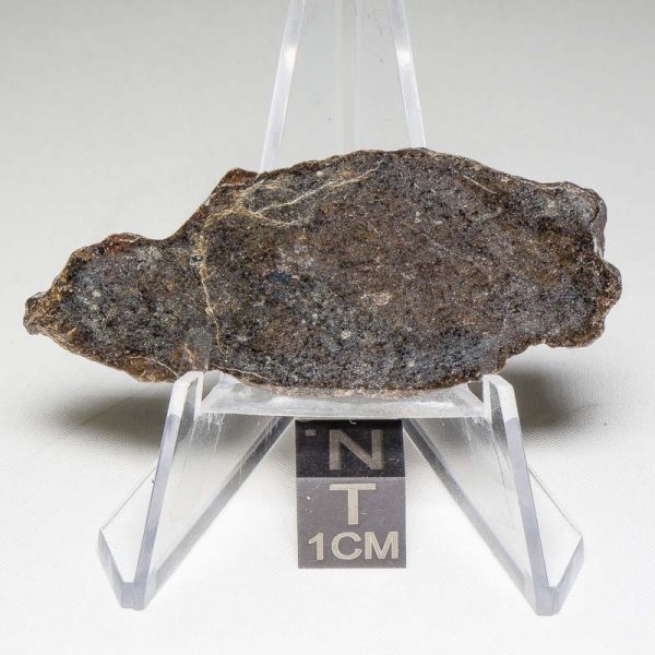 NWA 7499 Brachinite Meteorite 6.44g