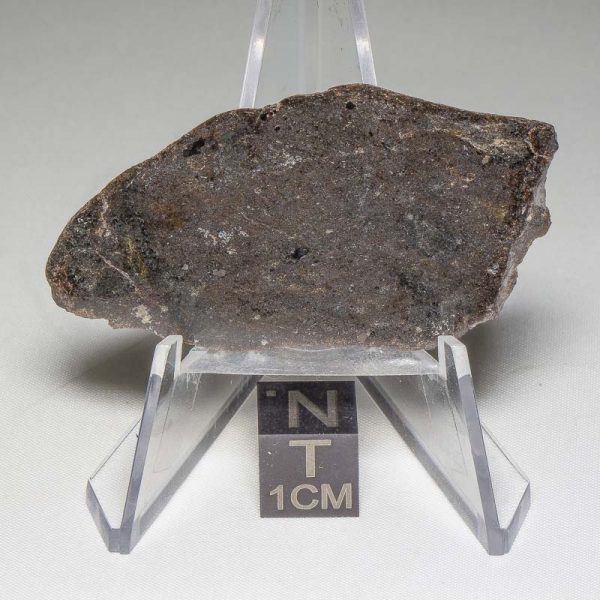 NWA 7499 Brachinite Meteorite 6.58g