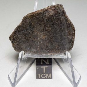 NWA 7499 Brachinite Meteorite 7.89g