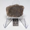 NWA 7499 Brachinite Meteorite 3.96g