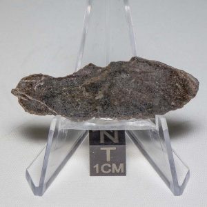 NWA 7499 Brachinite Meteorite 4.0g