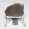 NWA 7499 Brachinite Meteorite 4.34g