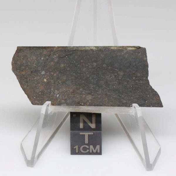 NWA 8008 Meteorite 8.5g
