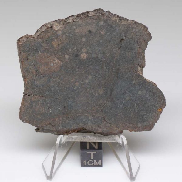 NWA 8008 Meteorite 39.4g