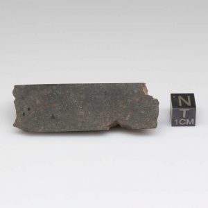 NWA 8008 Meteorite 39.7g