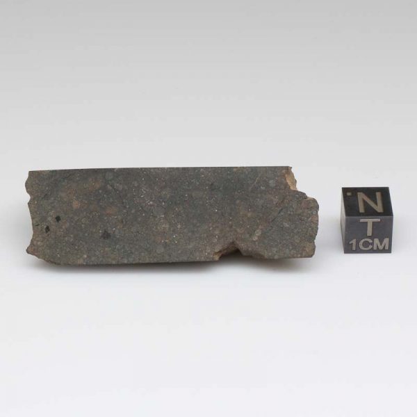 NWA 8008 Meteorite 39.7g