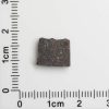 NWA 8287 Meteorite 1.11g
