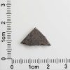 NWA 8287 Meteorite 0.99g