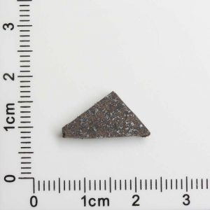 NWA 8287 Meteorite 1.02g