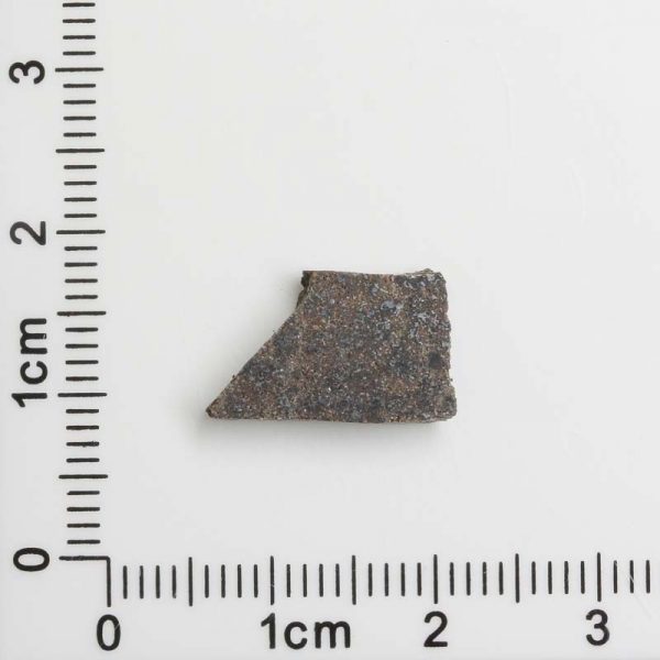NWA 8287 Meteorite 1.18g