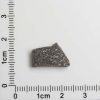 NWA 8287 Meteorite 1.35g