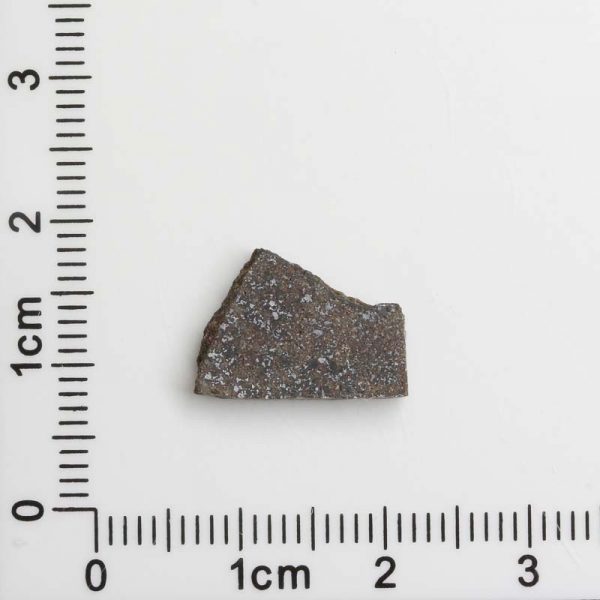 NWA 8287 Meteorite 1.13g