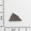 NWA 8287 Meteorite 1.28g