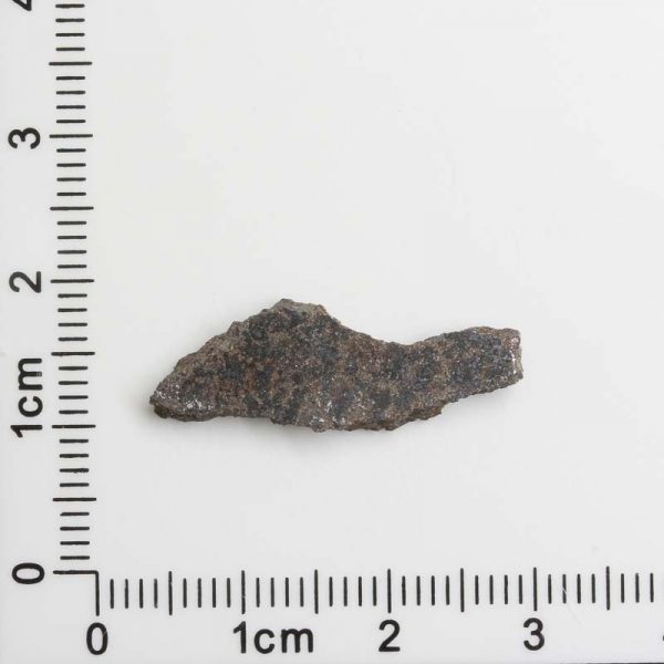 NWA 8287 Meteorite 1.23g