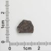 NWA 8287 Meteorite 0.83g