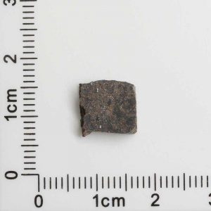 NWA 8287 Meteorite 0.86g